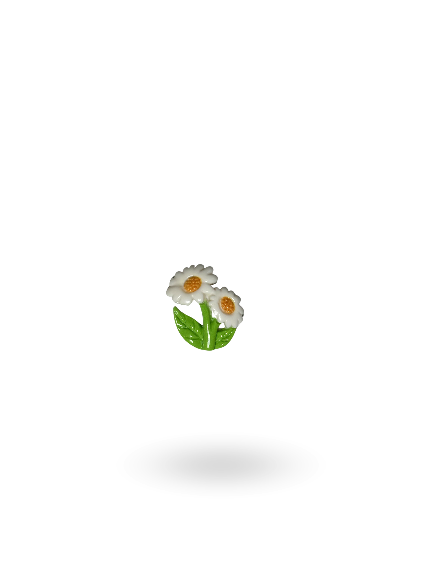Gänseblümchen | Flower