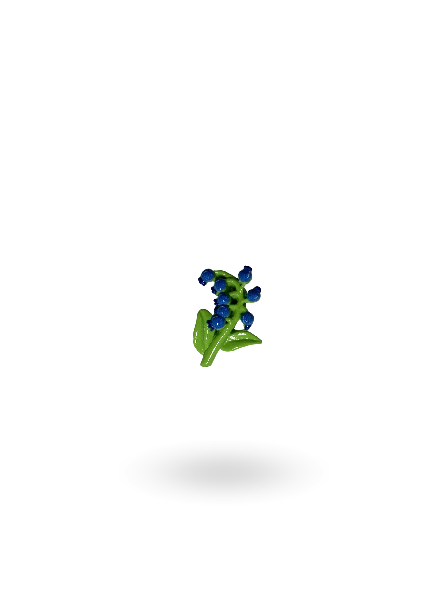 Traubenhyazinthe | Flower