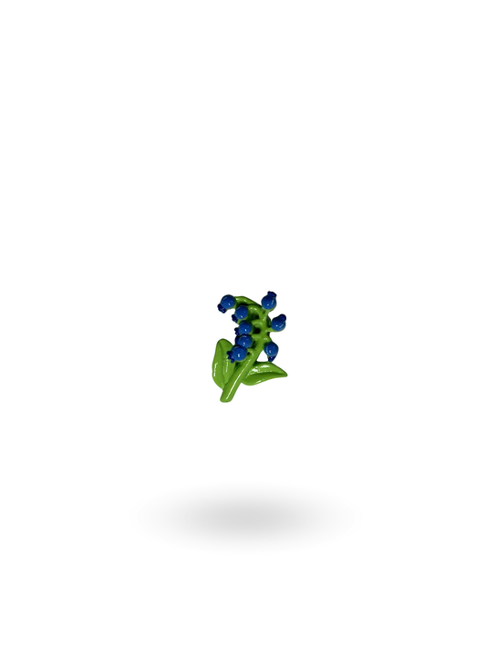 Traubenhyazinthe | Flower